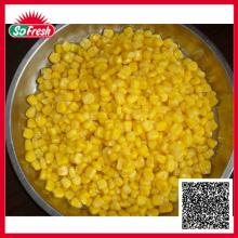 New season wholesale canned corn