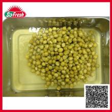 Canned green peas with competitive price
