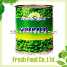 Hot selling best quality green peas in can  Process ed Canned Green Peas