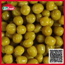canned green peas in tin canned green pea canned