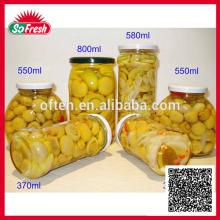 Best canned mushroom brands mushroom canned oyster mushroom