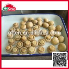 Best mushroom brands mushroom whole 200g