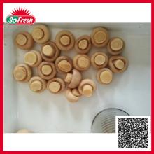 Best  mushroom  brands  CANNED   MUSHROOM  IN  BRINE 