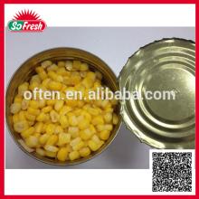 New ingredient fresh canned sweet corn 340g