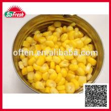 New ingredient fresh corn in can halal canned corn brands of canned corn