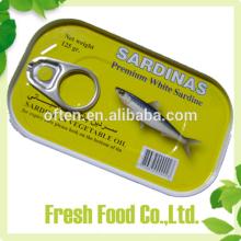 Hot exporting ingredient Wholesale canned pilchardus canned sardine fish