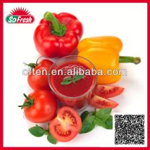 Organic Tomato Paste In Drum
