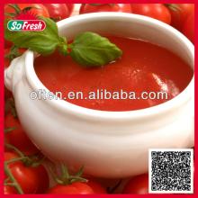 canned tomato paste factory wholesale