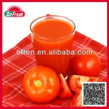 Canned tomato paste factory best price