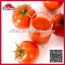 2013 Fresh new crop canned tomato paste