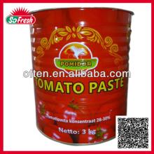 Best canned tomato paste factory