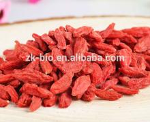 High quality Nautral 40% Polysaccharide Goji berry extract