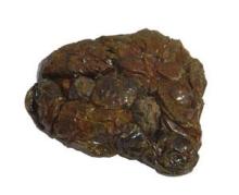 Hot Selling  Raw   Propolis 