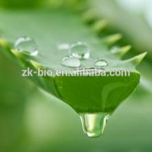 Hot sale Freeze dried Aloe Vera powder 200:1