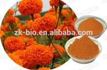 Supply natural Xanthophyll Lutein Marigold flower extract