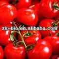 Natural Tomato extract Lycopene