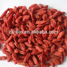Perfect quality Sun Dried Goji