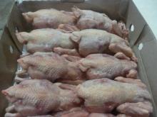 Frozen whole chicken(broiler, hen)