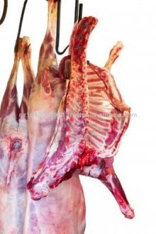  Lamb   Mutton  New Zealand