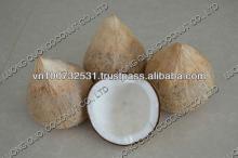 FULL HUSKED MATURE COCONUT