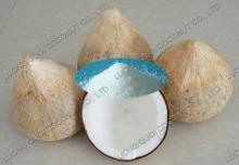 NATURAL WHITE DESICCATED COCONUT
