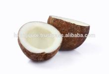 VIETNAM CANNED COCONUT MILK