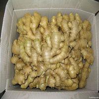 Fresh And Dry Ginger