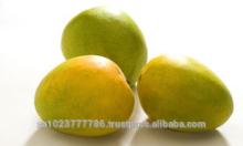 High Quality Fresh Alphonso Mango