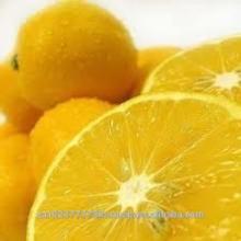  Fresh  Lemon