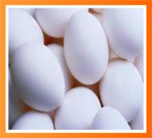 High Quality Fresh Eggs