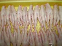 Frozen Chicken Paws