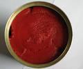 Tomato Paste GRADE A