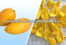 Freeze Dried Mango