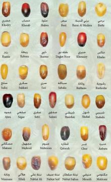 All Kinds Of  Organic   Dates 