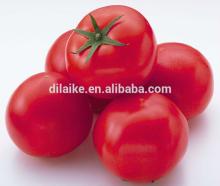 50g 28-30% sachets tomato paste