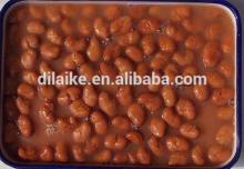 canned broad beans of high quality in China