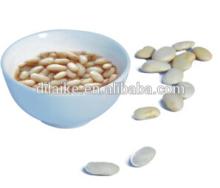 Natural Canned white kidney bean