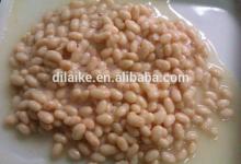 China hot sale Canned white kidney bean