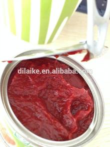 China tomato paste tomato sauce ketchup