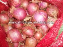 fresh onion prices in china