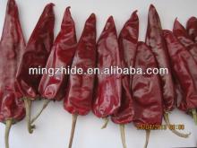 Yidu chilli,paprika ,Jinta chilli, chaotian chilli