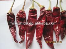red chilli price