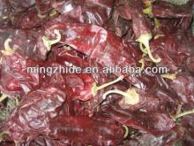 paprika pods,paprika 200asta
