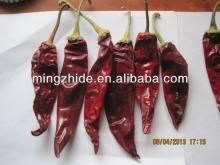 import export red chilli/pepper