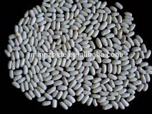 white kidney bean,medium type