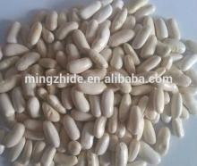 white kidney bean,long shape
