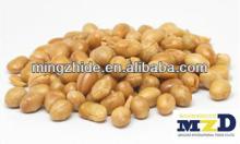 Roasted Soybeans , roasted & salted soybean, snack