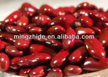 Red kidney beans