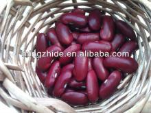 Purple Speckled Kidney Beans. china orgin