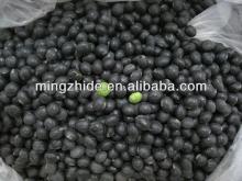 Black kidney bean